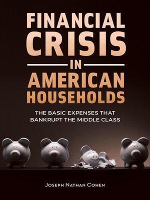 cover image of Financial Crisis in American Households